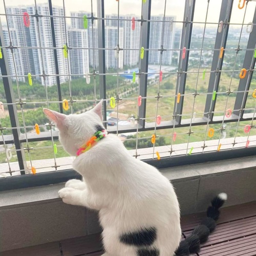 lưới an toàn chống thú cưng